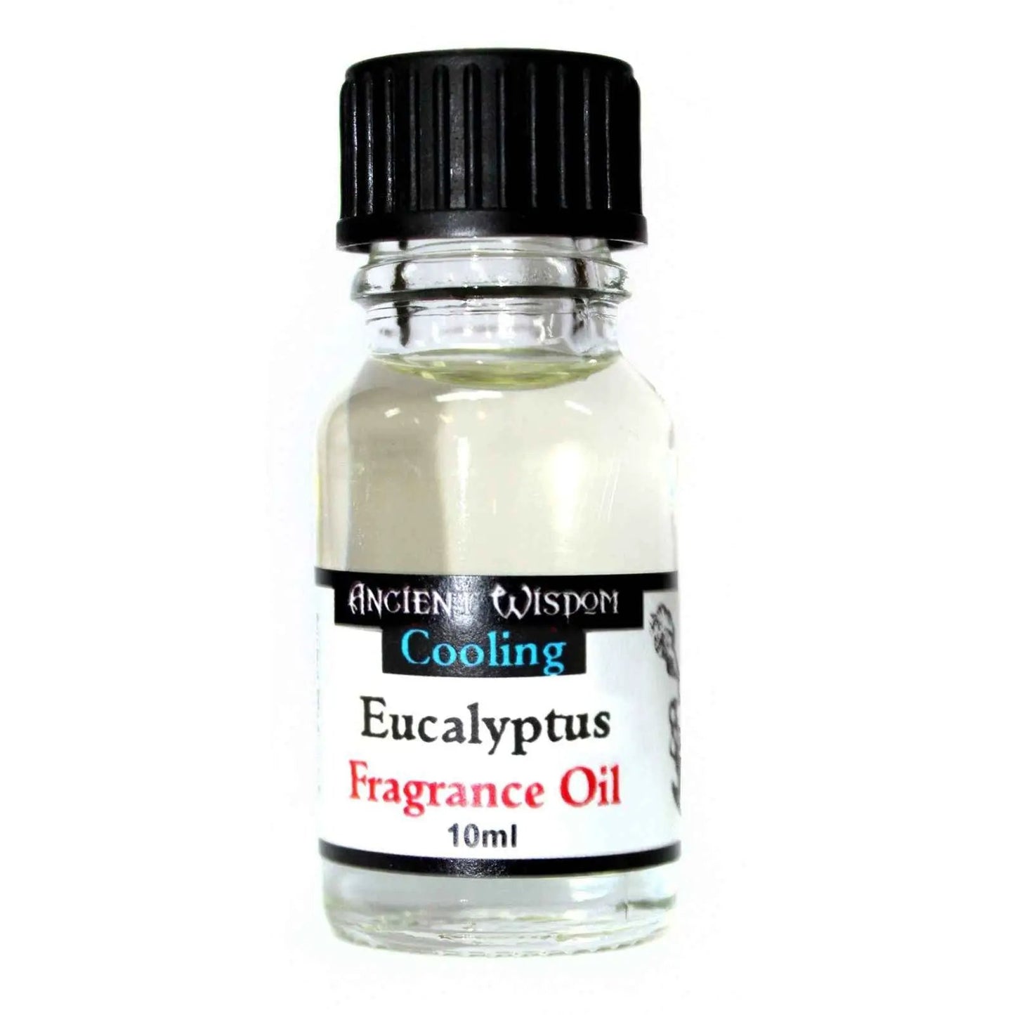 Ancient Wisdom Eucalyptus Fragrance Oil 10ml Long Lasting Diffusion - Everyday Bargainz