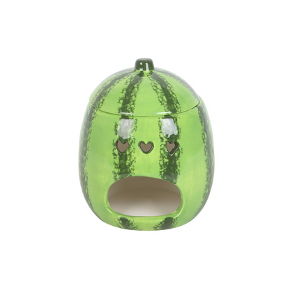N/A Watermelon Oil Burner and Wax Warmer -