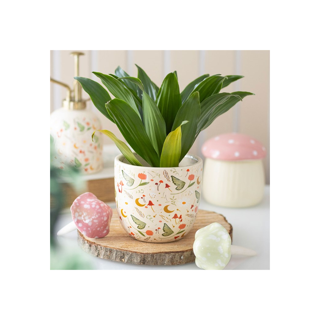 Whimsical Fairy Print Plant Pot to Brighten Your Indoor Garden