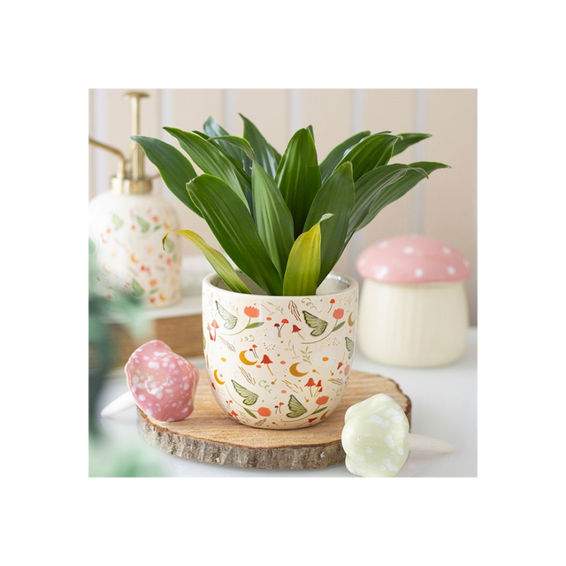 Whimsical Fairy Print Plant Pot to Brighten Your Indoor Garden