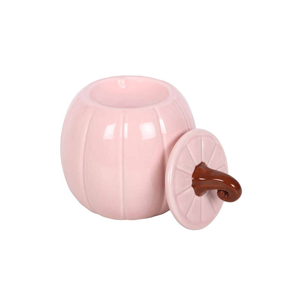 N/A Pink Curly Pumpkin Oil Burner -