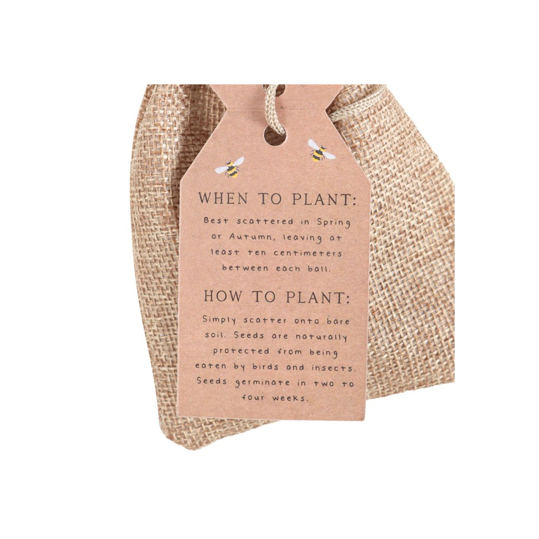 Transform Your Space with 24 Garden Seed Balls for Vibrant Wildflowers