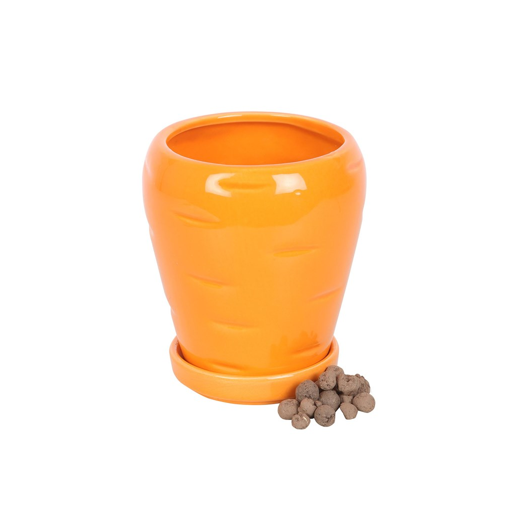 Carrot Shaped Plant Pot: Grow Fresh Herbs with Fun and Style!