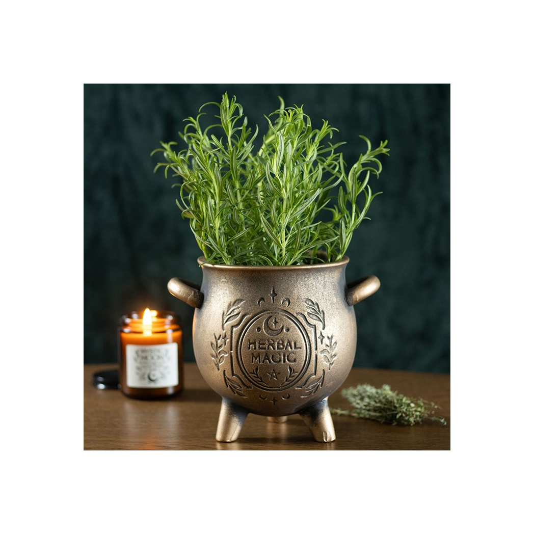 Bronze Effect Terracotta Plant Pot: Herbal Magic for Your Greenery