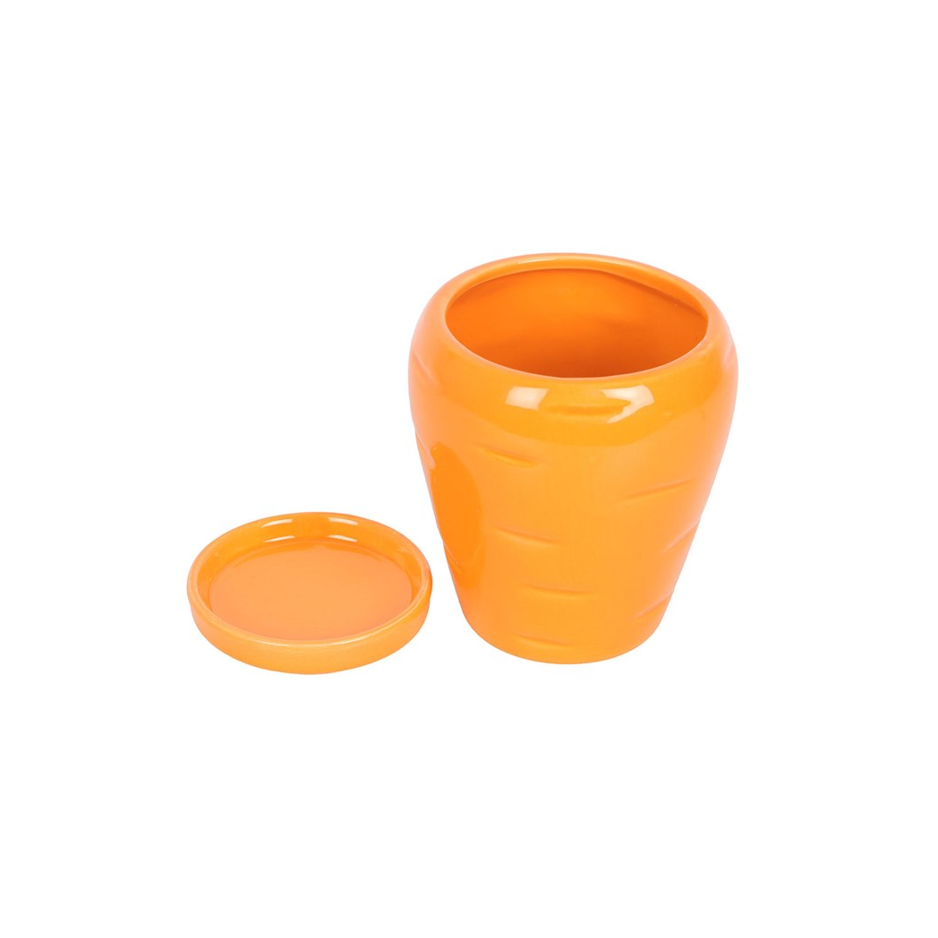 Carrot Shaped Plant Pot: Grow Fresh Herbs with Fun and Style!