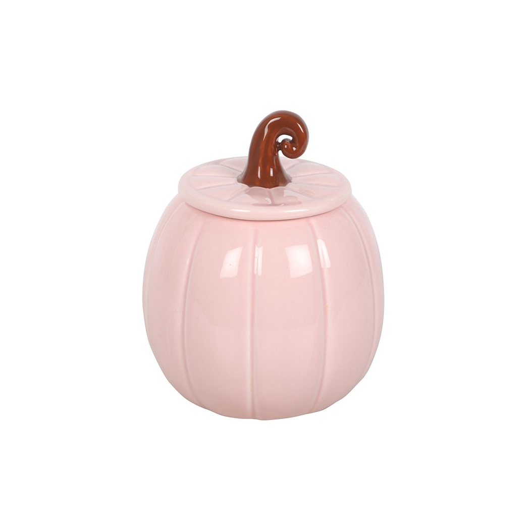 N/A Pink Curly Pumpkin Oil Burner -
