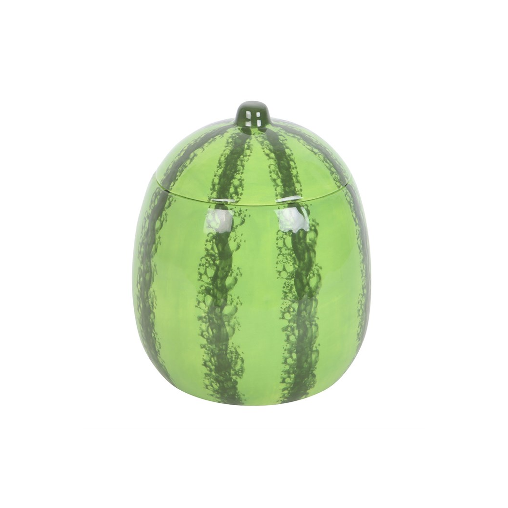 N/A Watermelon Oil Burner and Wax Warmer -