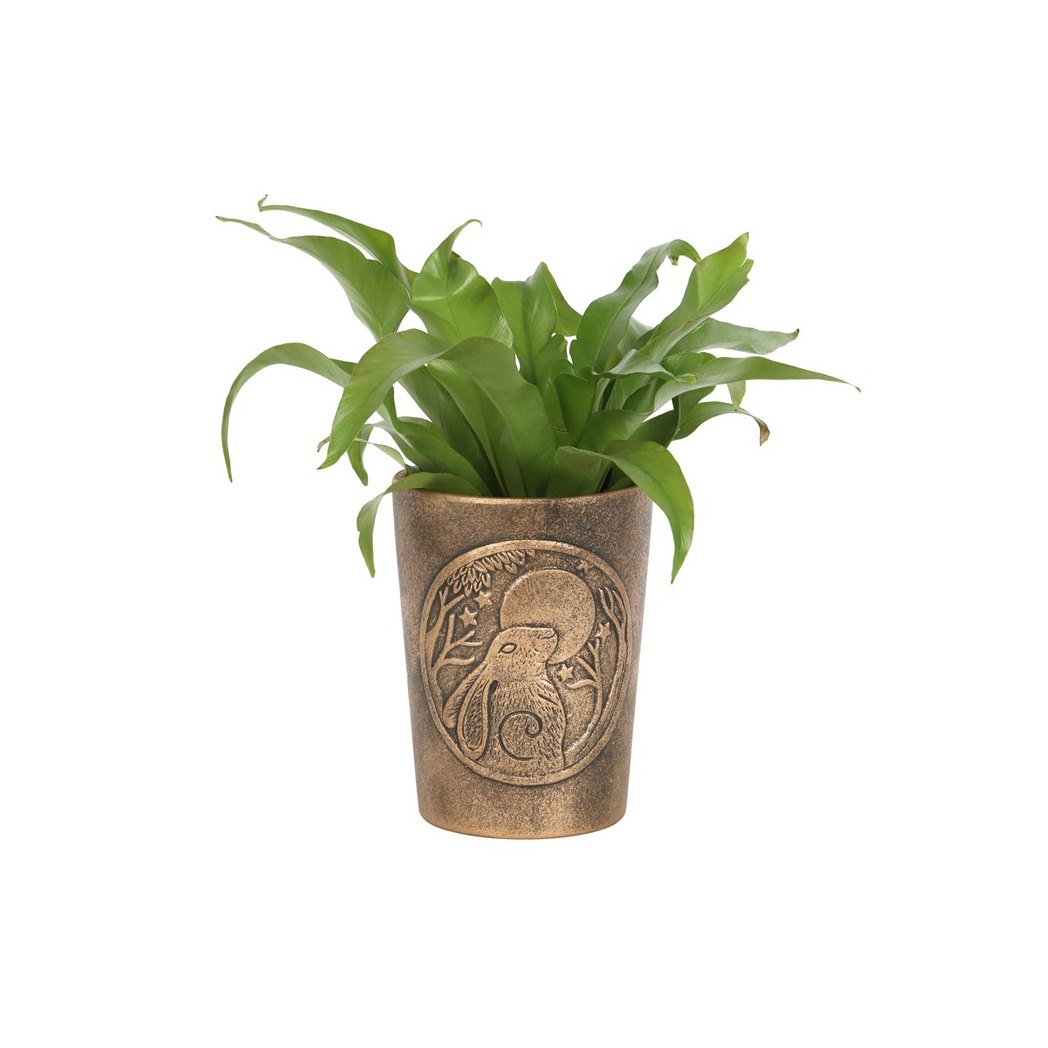 Moon Gazing Hare Plant Pot – Antiqued Bronze Terracotta by Lisa Parker