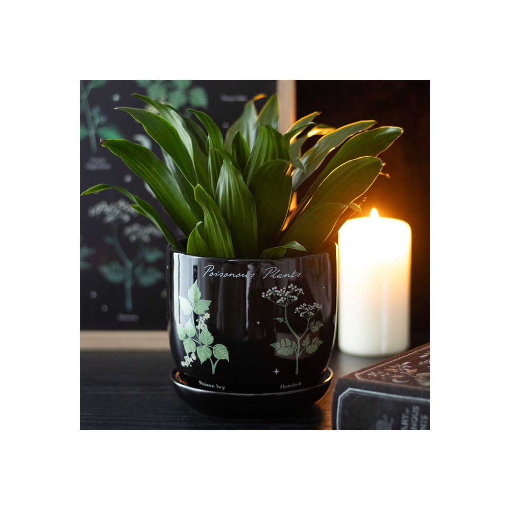 Poisonous Plants Plant Pot – A Darkly Elegant Ceramic Planter