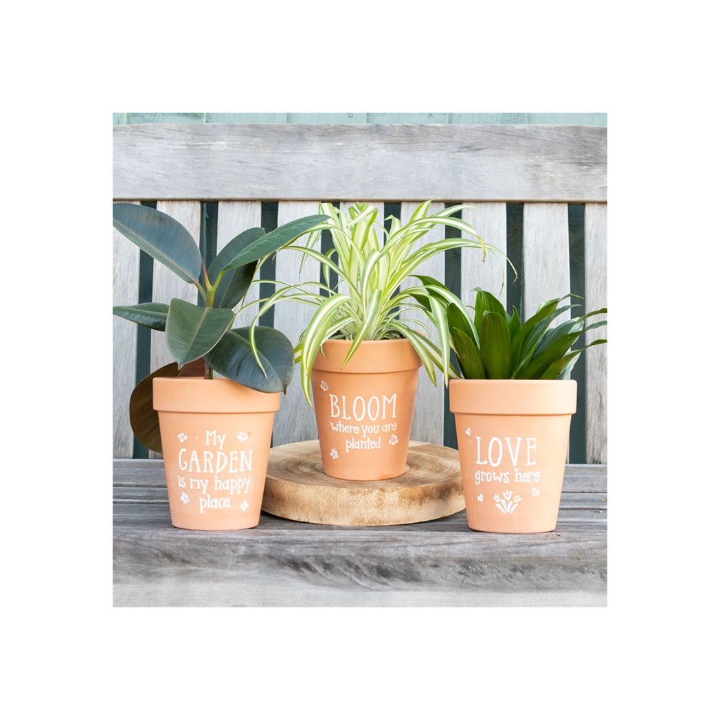 Bloom Where You Are Planted Pot: Enhance Your Space with Style & Serenity