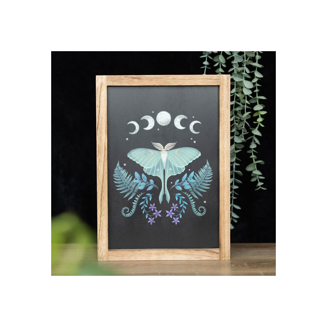 Luna Moth Wall Art – Framed Wooden Botanical Print