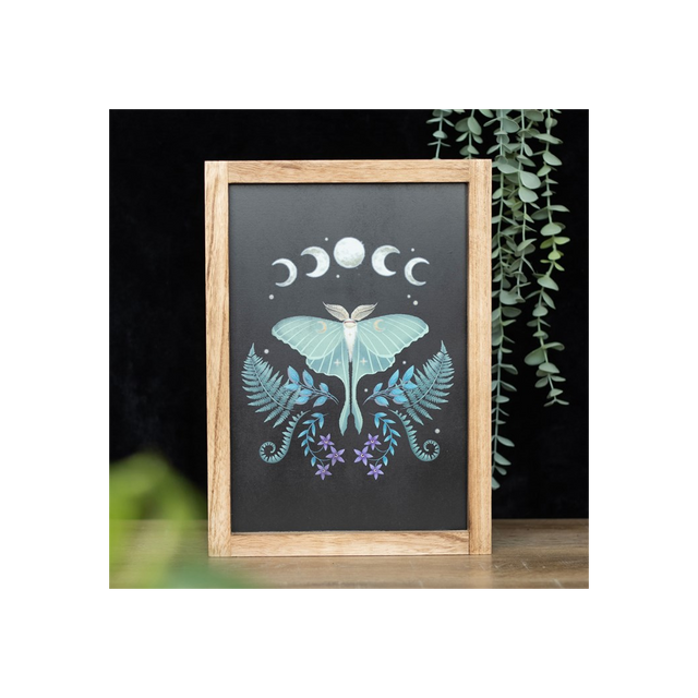 Luna Moth Wall Art – Framed Wooden Botanical Print