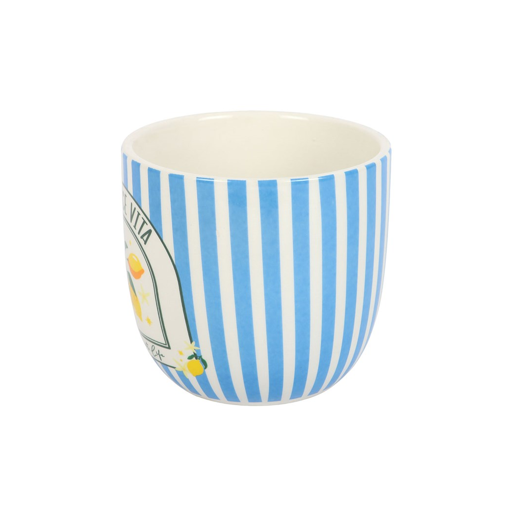 Charming Blue Striped Plant Pot for Your Coastal Decor