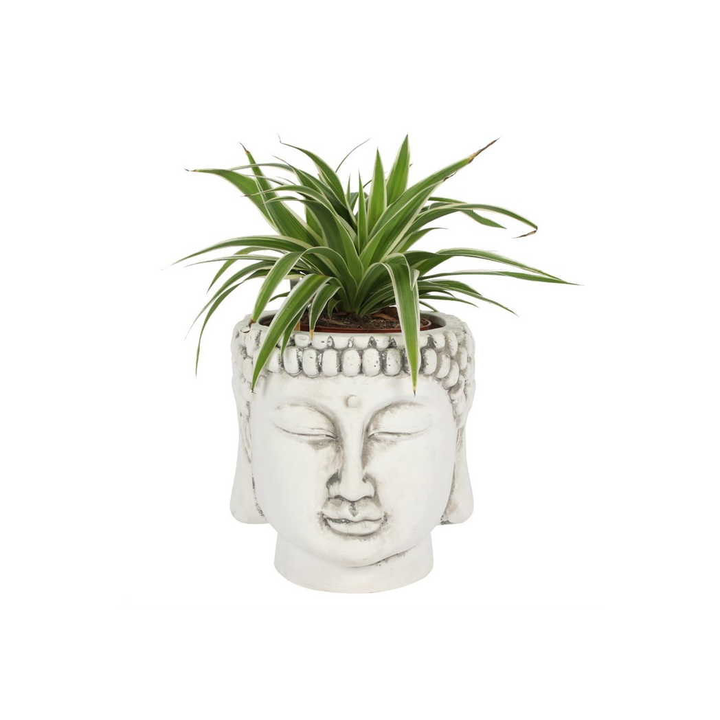 Serene White Terracotta Buddha Head Planter for Tranquil Spaces