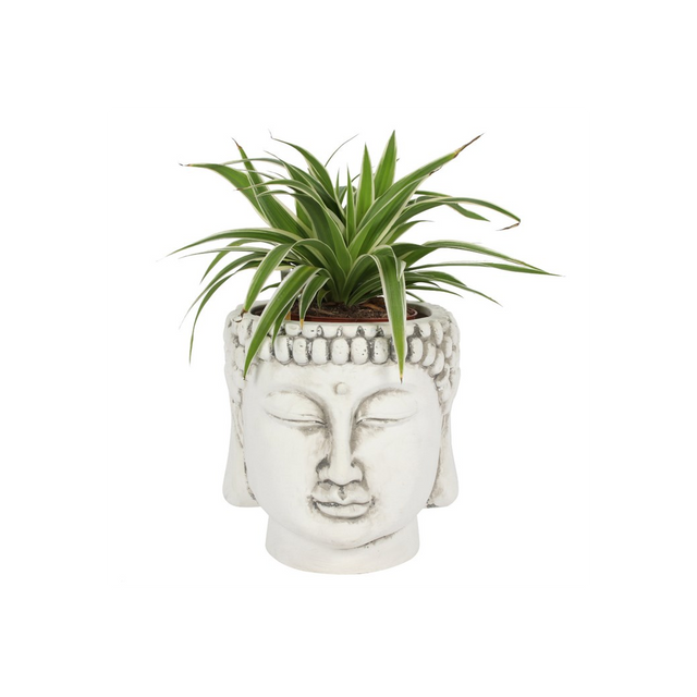 Serene White Terracotta Buddha Head Planter for Tranquil Spaces