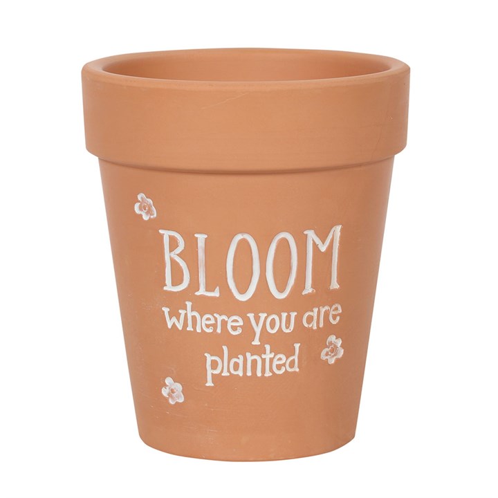 Bloom Where You Are Planted Pot: Enhance Your Space with Style & Serenity