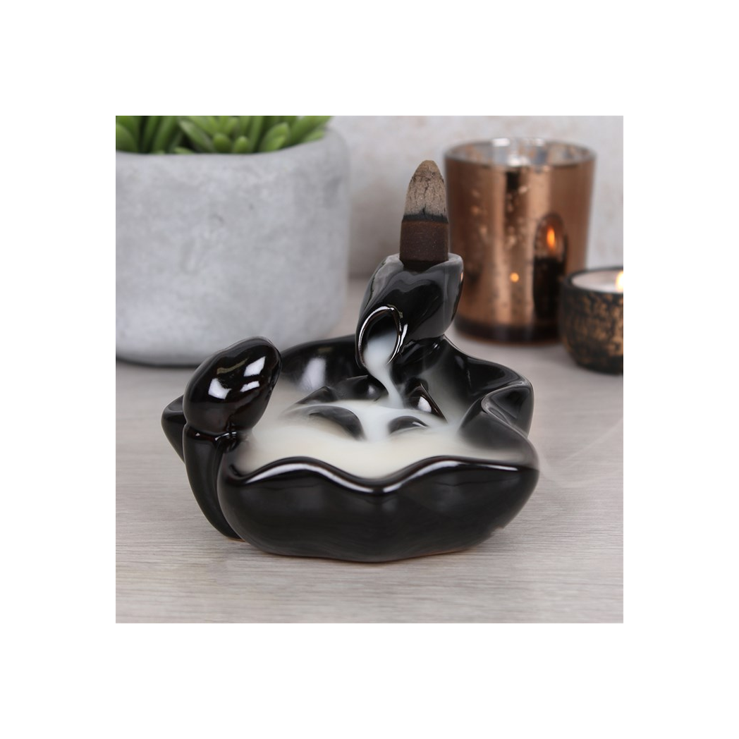 N/A Pool to Pool Backflow Incense Burner -