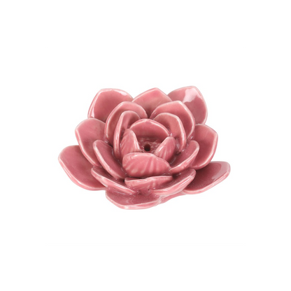 Pink ceramic succulent on a white background