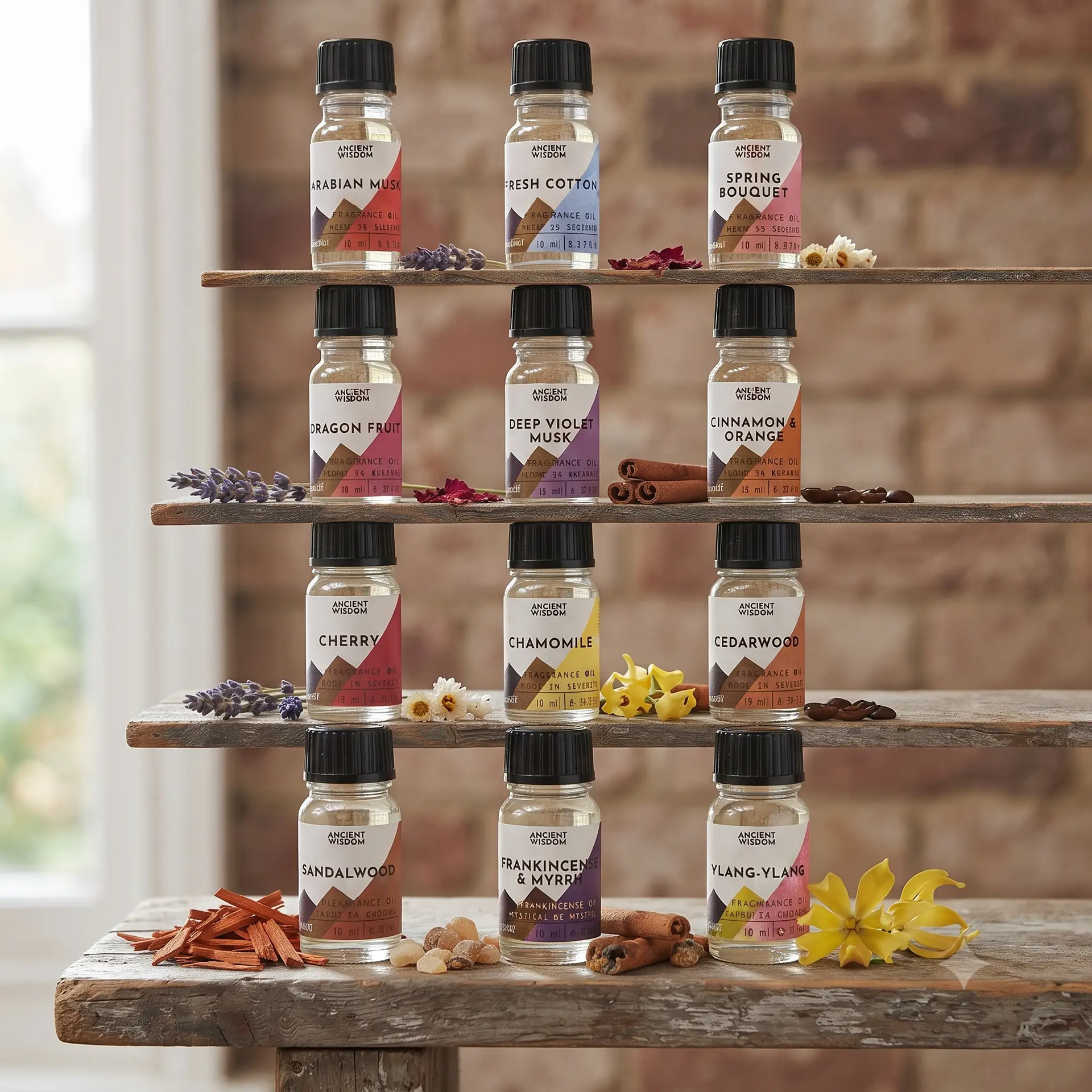 Ancient Wisdom Ancient Wisdom Fragrance Oil 10ml Pack Of 12 Assorted Scents - Fragrance Oil