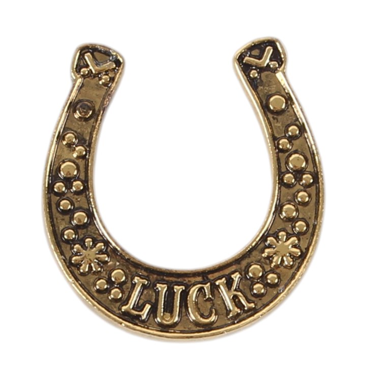Lucky Horseshoe Token Gifts: A Set of 24 Charms for Good Fortune
