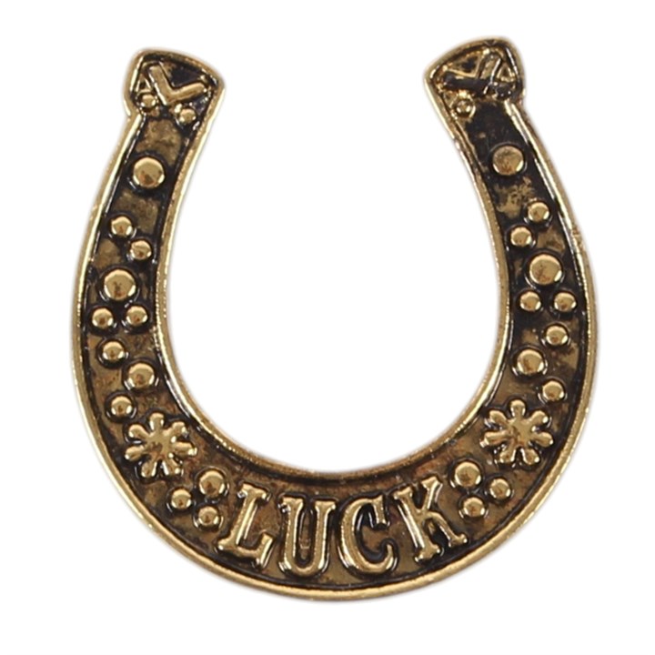 Lucky Horseshoe Token Gifts: A Set of 24 Charms for Good Fortune