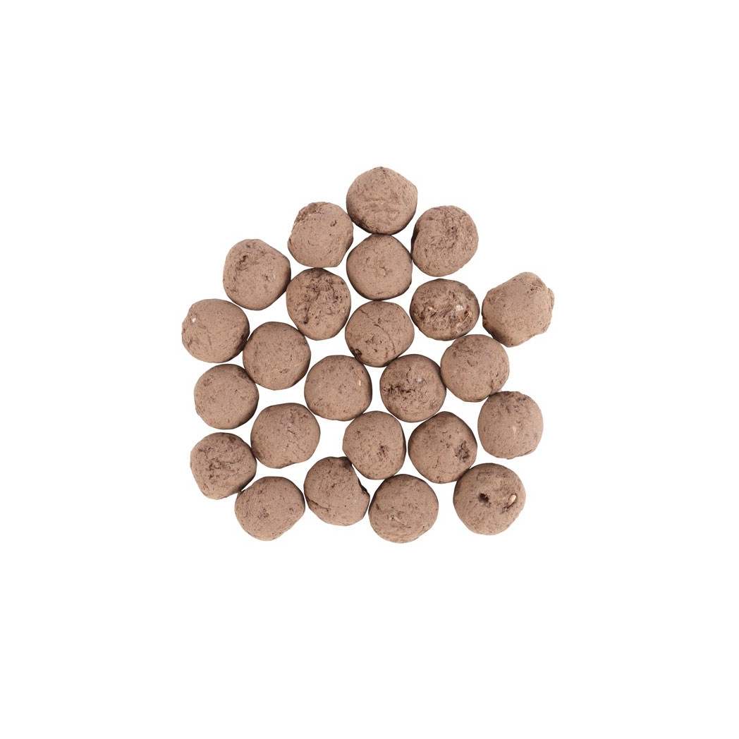 Transform Your Space with 24 Garden Seed Balls for Vibrant Wildflowers