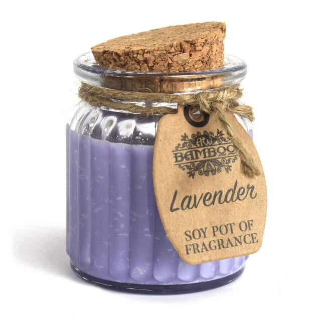 Ancient Wisdom Lavender Soy Pot of Fragrance Candle, 20-Hour Burn - Everyday Bargainz