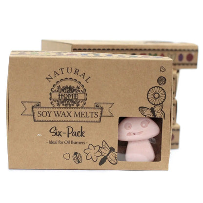 Ancient Wisdom Natural Soy Wax Melts Old Ginger Box Of 6 - Everyday Bargainz