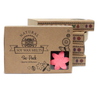 Ancient Wisdom Natural Soy Wax Melts Classic Rose Box Of 6 - Everyday Bargainz