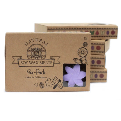 Ancient Wisdom Lavender Fields Soy Wax Melts Box Of 6 - Everyday Bargainz