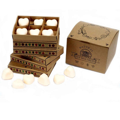 Ancient Wisdom Box Of 6 Cinnamon And Orange Natural Soy Wax Melts - Everyday Bargainz
