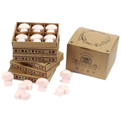 Ancient Wisdom Dark Sandalwood Soy Wax Melts Box Of 6 - Everyday Bargainz