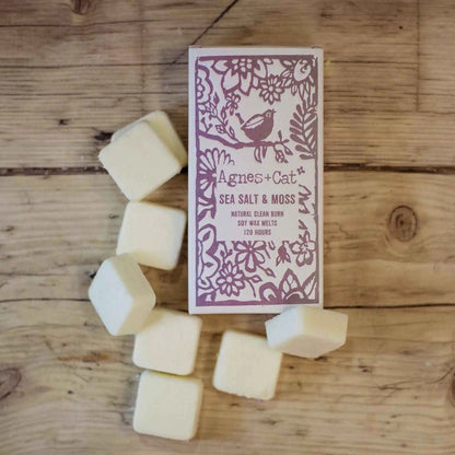 Agnes And Cat Soy Wax Melts Sea Salt Moss Eight Melts - Everyday Bargainz