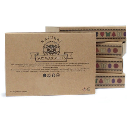 Ancient Wisdom Natural Soy Wax Melts Old Ginger Box Of 6 - Everyday Bargainz