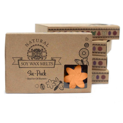 Ancient Wisdom Mango Fruits Soy Wax Melts Box of 6 - Everyday Bargainz