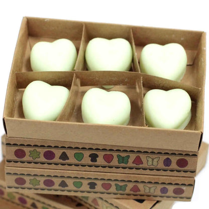 Ancient Wisdom Watermelon Fresh Natural Soy Wax Melts Box 6 - Everyday Bargainz