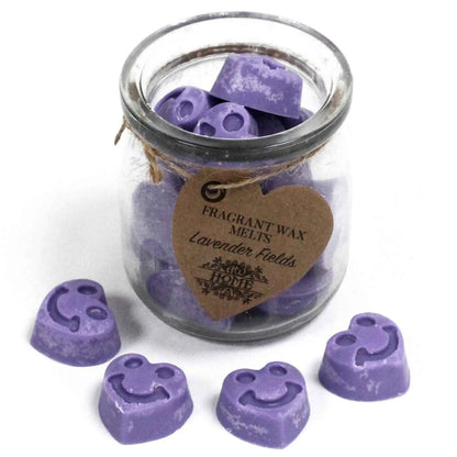 Ancient Wisdom Soywax Fragrant Melts Jar Lavender Fields - Everyday Bargainz
