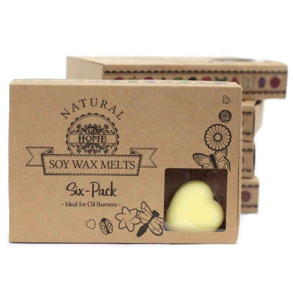Ancient Wisdom Natural Soy Wax Melts Box Of 6 Brandy Butter - Everyday Bargainz