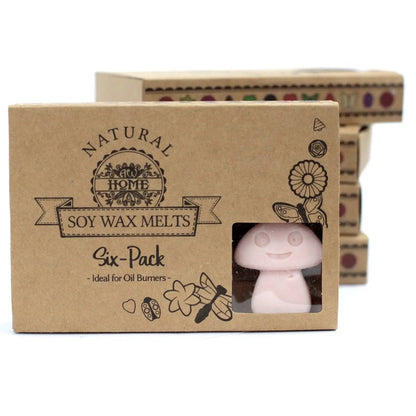 Ancient Wisdom Dark Sandalwood Soy Wax Melts Box Of 6 - Everyday Bargainz