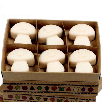 Ancient Wisdom Natural Soy Wax Melts Vanilla Nutmeg Set Of 6 - Everyday Bargainz