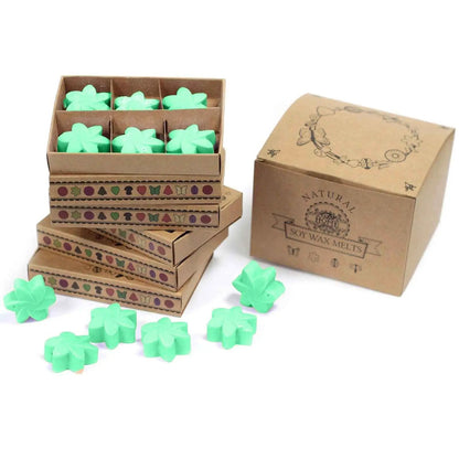 Ancient Wisdom Hidden Garden Soy Wax Melts Box Of 6 - Everyday Bargainz