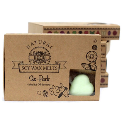 Ancient Wisdom Dark Sandalwood Soy Wax Melts Box Of 6 - Everyday Bargainz