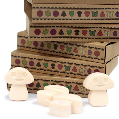 Ancient Wisdom Natural Soy Wax Melts Vanilla Nutmeg Set Of 6 - Everyday Bargainz