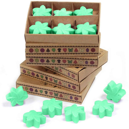 Ancient Wisdom Hidden Garden Soy Wax Melts Box Of 6 - Everyday Bargainz