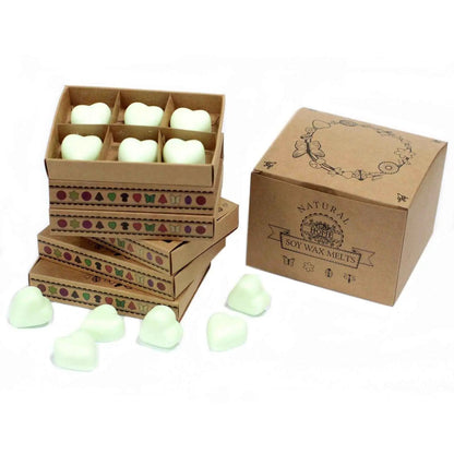 Ancient Wisdom Natural Soy Wax Melts Mint Menthol Box Of 6 - Everyday Bargainz