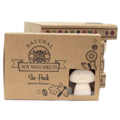 Ancient Wisdom Natural Soy Wax Melts Vanilla Nutmeg Set Of 6 - Everyday Bargainz