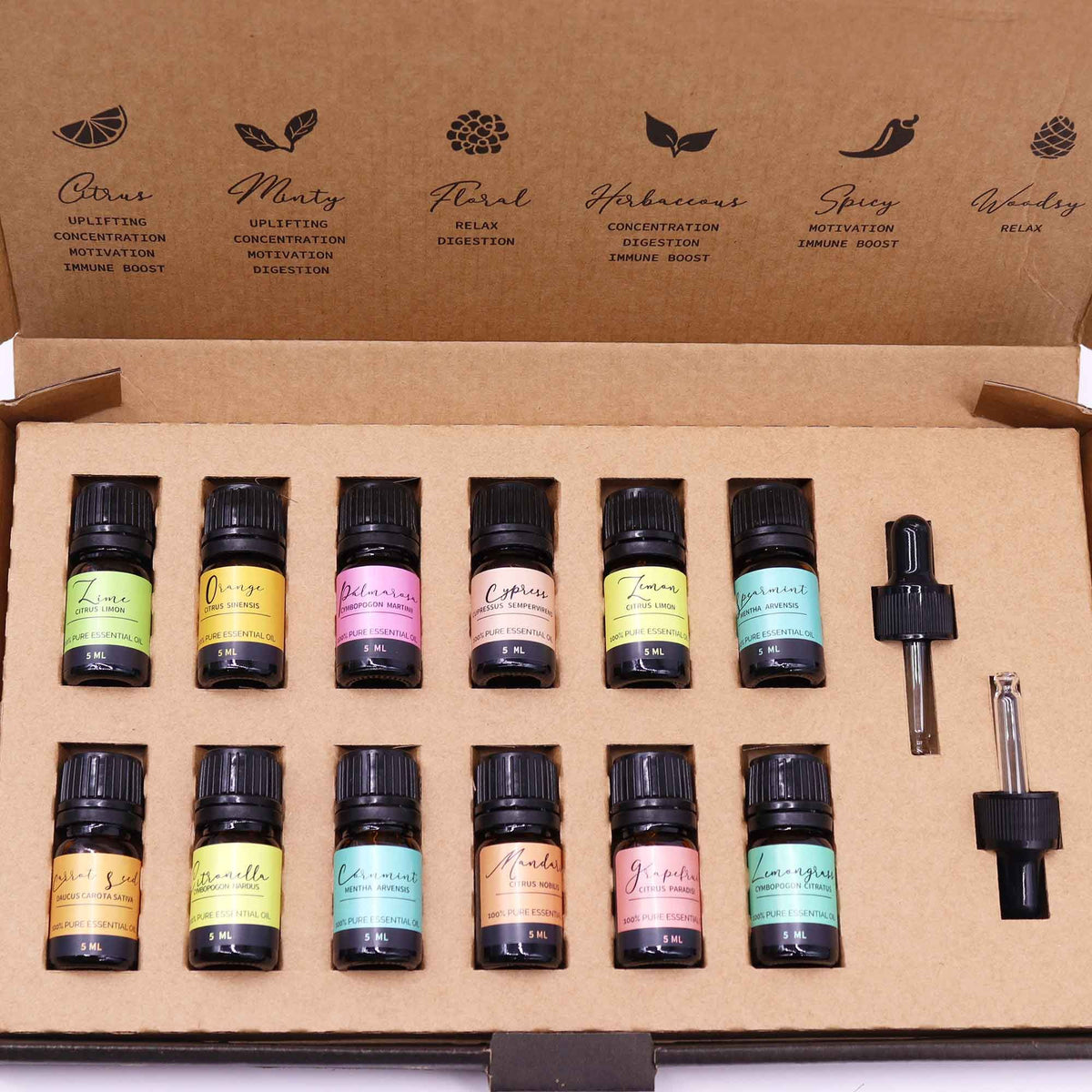 Essential Oil Aromatherapy Set - Revitalize Your Home and Mind This Summer