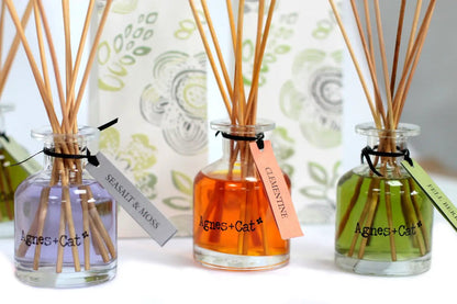 Ancient Wisdom Agnes Cat Reed Diffusers 140ml Clementine - Everyday Bargainz