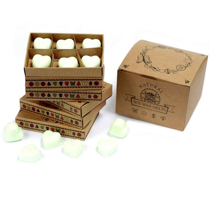 Ancient Wisdom Natural Soy Wax Melts Apple Spice Box Of 6 - Everyday Bargainz
