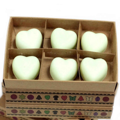 Ancient Wisdom Natural Soy Wax Melts Mint Menthol Box Of 6 - Everyday Bargainz